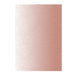 Christian Lacroix Blush A5 8" X 6" Ombre Paseo Notebook