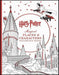 Harry Potter Magical Places & Characters Coloring Book