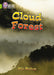 Cloud Forest