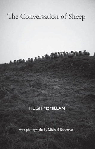 The Conversation of Sheep