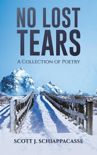 No Lost Tears