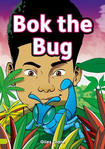 Bok the Bug: Bok & Nick #1 - Little Wandle decodable reader for ages 7 to 14 (Striders Phonics Readers