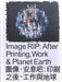 Image RIP: After Printing, Work & Planet Earth