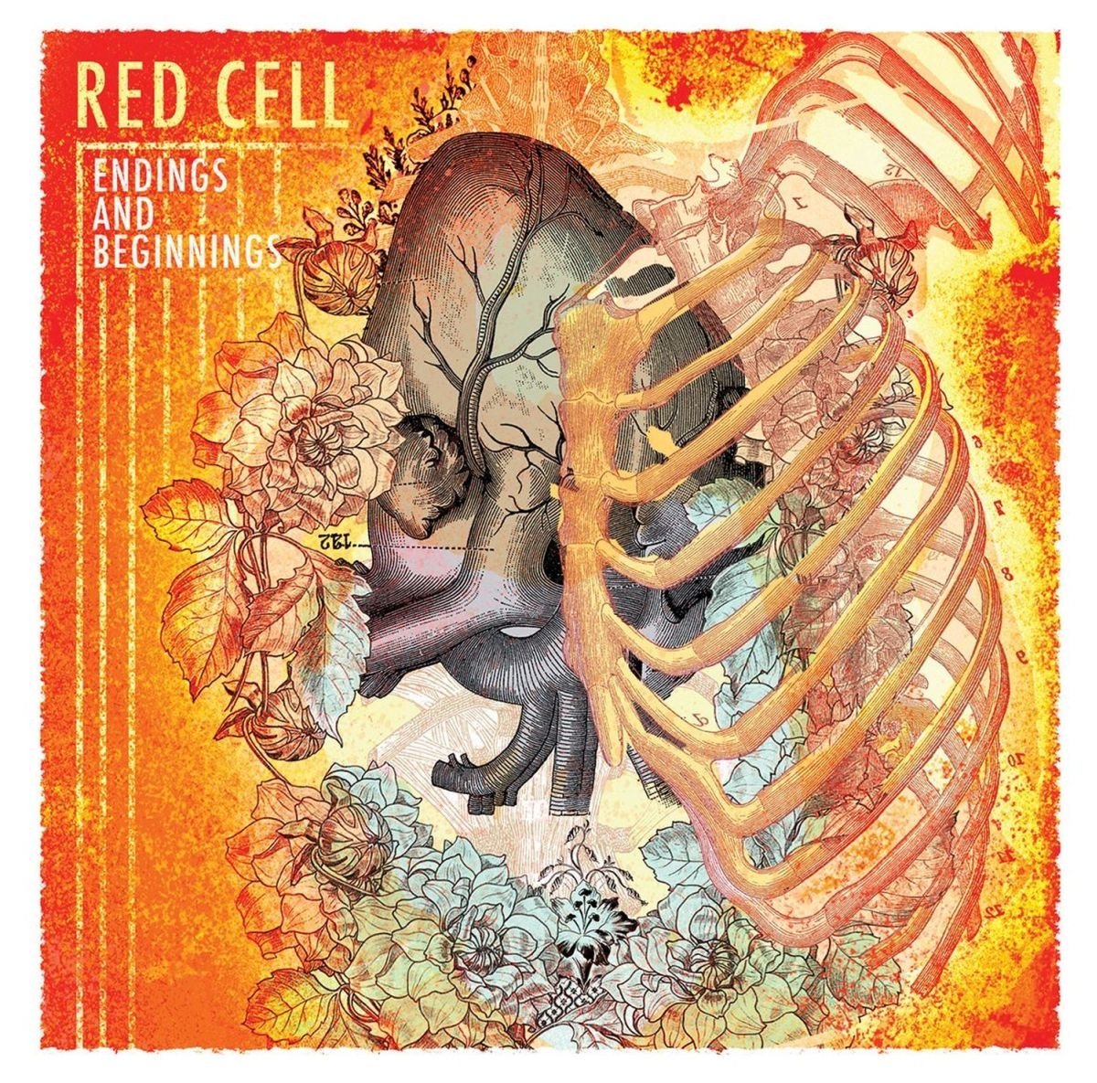 Red Cell - Endindings And Beginnings