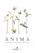 Anima, Les Cols