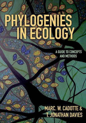 Phylogenies in Ecology