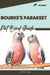 Bourke's Parakeet