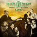 Irish Heart-Live