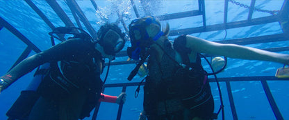 47 Meters Down