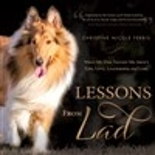 Lessons from Lad