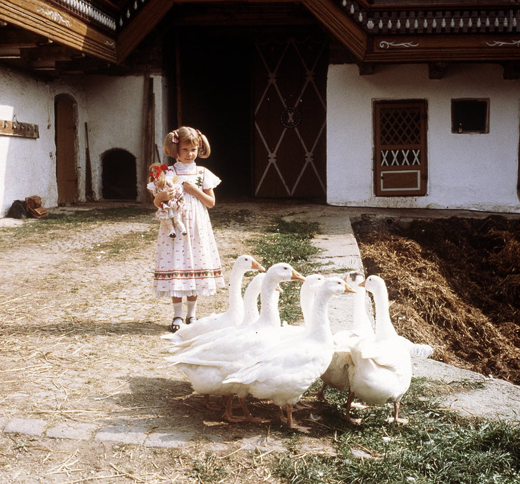 Nesthäkchen - Komplettbox