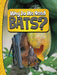 Why Do We Need Bats?
