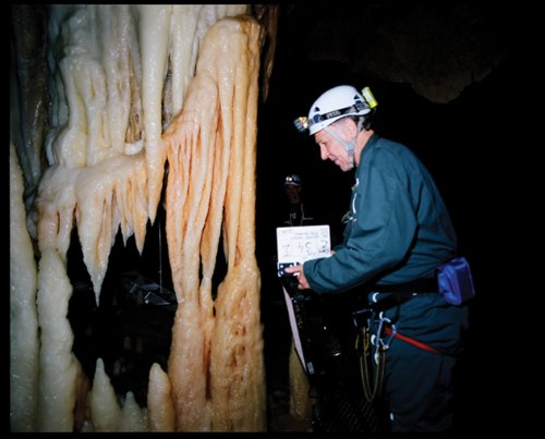 Die Höhle der vergessenen Träume