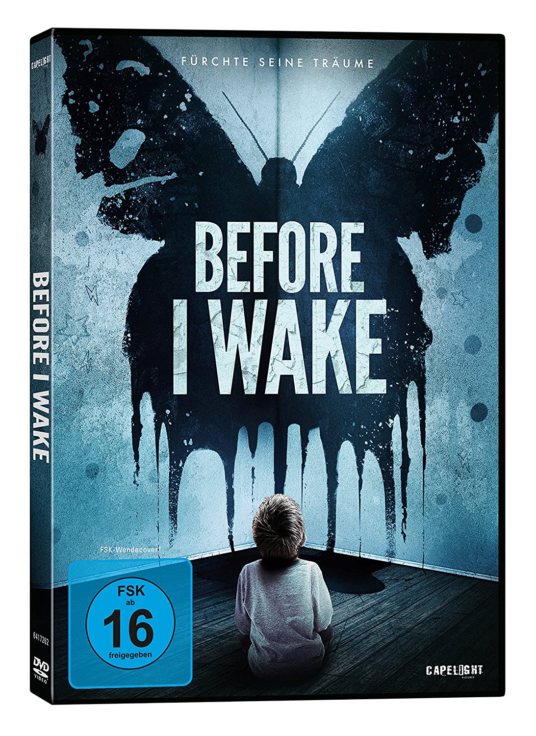 Before I Wake