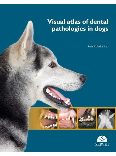 Visual Atlas of Dental Pathologies in Dogs