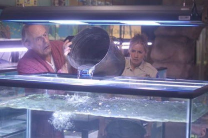 Piranha (DVD) 2010 Min: 85DD5.1WS