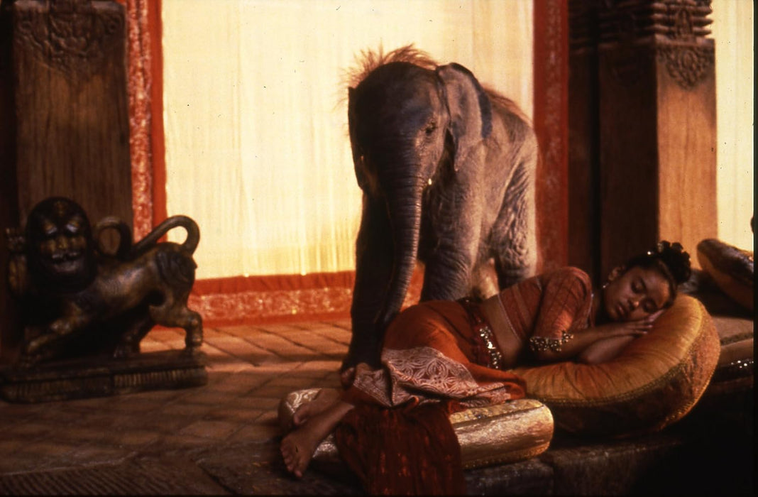 Little Buddha - Digital ed