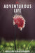 An Adventurous Life