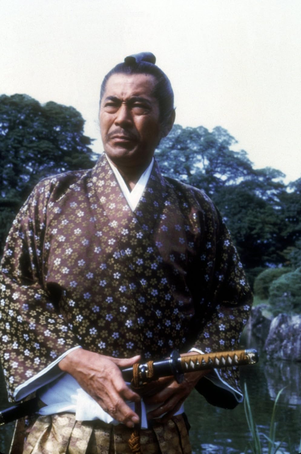 Shogun - Amaray