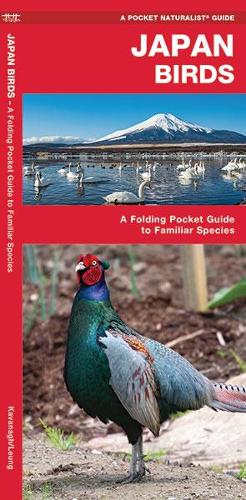 Japan Birds