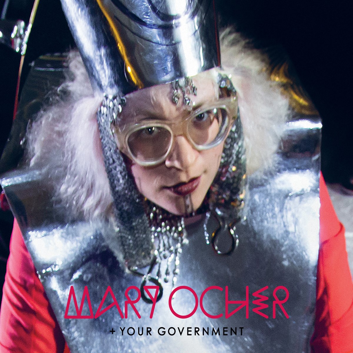 Your Government