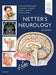 Netters Neurology 3/E