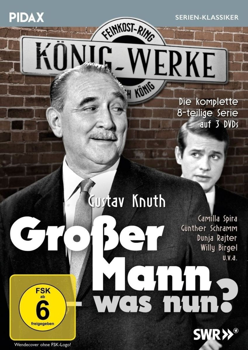 Großer Mann - was nun? / Die komplette 8-teilige Kultserie mit Gustav Knuth (Pidax Serien-Klassiker)
