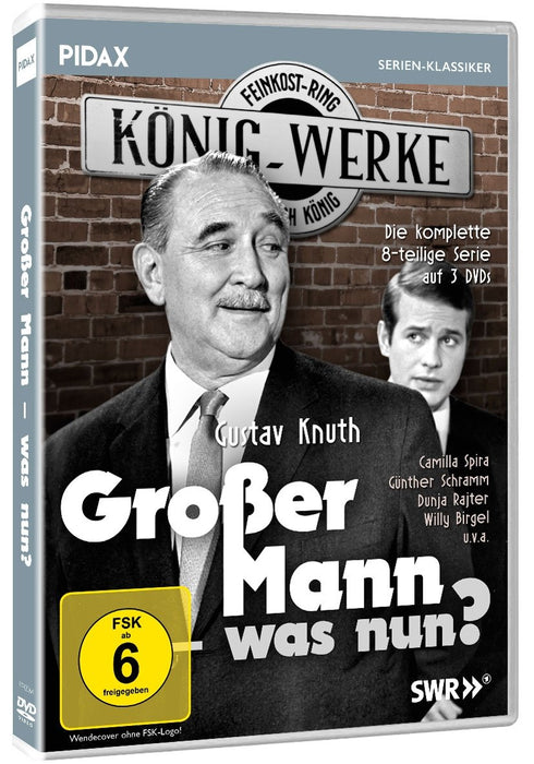 Großer Mann - was nun? / Die komplette 8-teilige Kultserie mit Gustav Knuth (Pidax Serien-Klassiker)