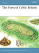 The Forts of Celtic Britain