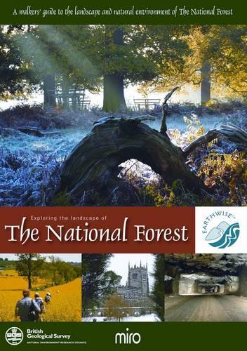 Exploring the Landscape of The National Forest