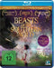 Beasts of the Southern Wild