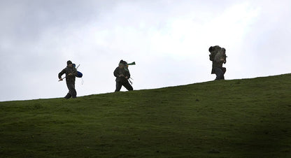 Four Lions