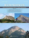 Notices of the International Congress of Chinese Mathematicians, Vol. 8, No. 1 (July 2020