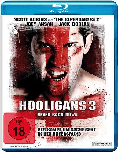 NUNN, JAMES - HOOLIGANS 3 - NEVER BACK DOWN