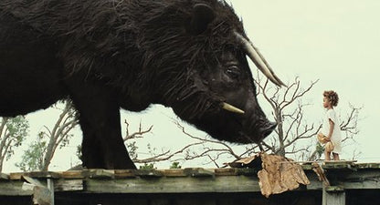 Beasts of the Southern Wild - Special Edition