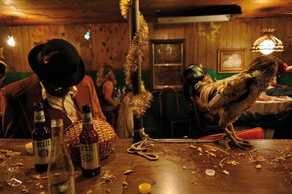 Beasts of the Southern Wild - Special Edition