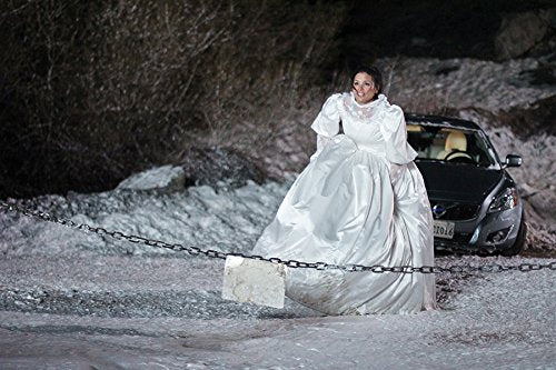 Snow Bride (2013)