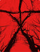 Blair Witch