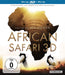 African Safari