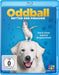 ODDBALL - RETTER DER PINGUINE BD - ODDBALL - RETTER DER PINGUINE
