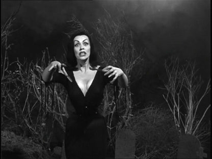 Ed Wood Box (Plan 9 from outer Space, Glenn or Glenda?, Bride of the Monster + Bonusmaterial)(OmU)