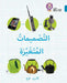 Changing Designs
