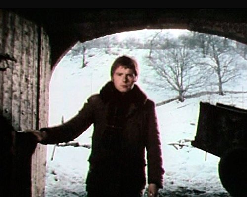 Wolfsziegel / Wenn der Wolfsziegel heult ... (La tuile à loups