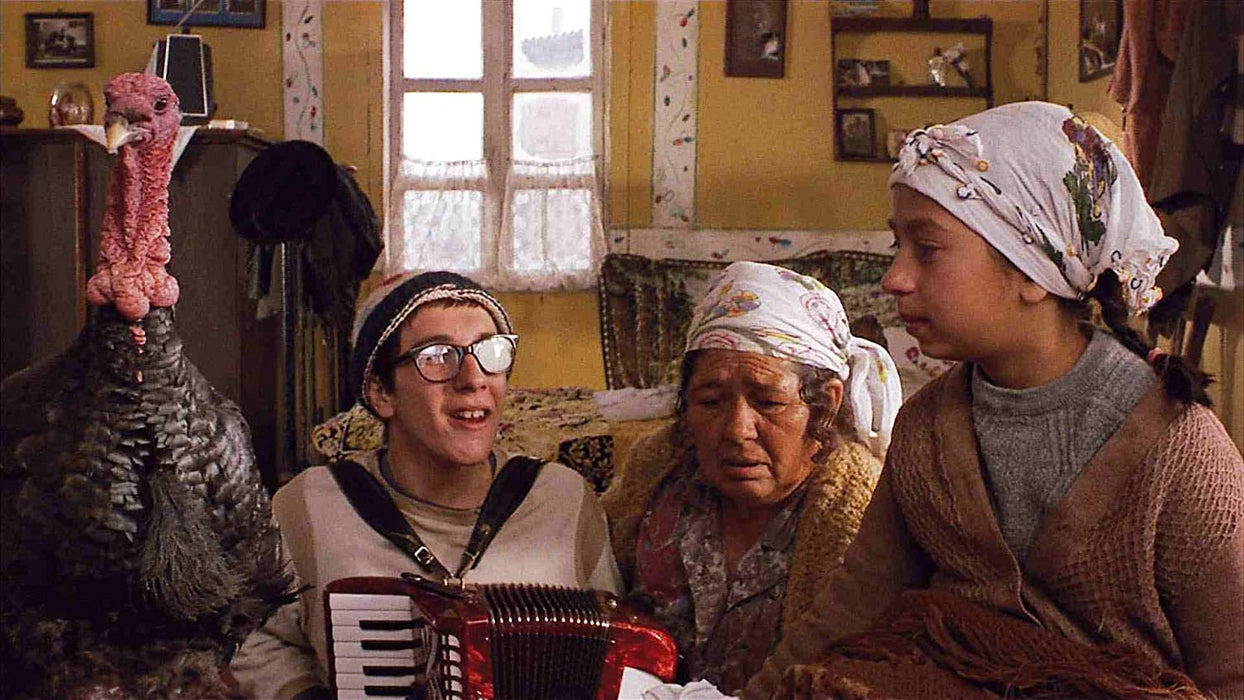 Time of the Gypsies - Zeit der Zigeuner