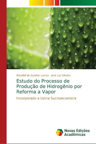 Estudo do Processo de Produção de Hidrogênio por Reforma a Vapor