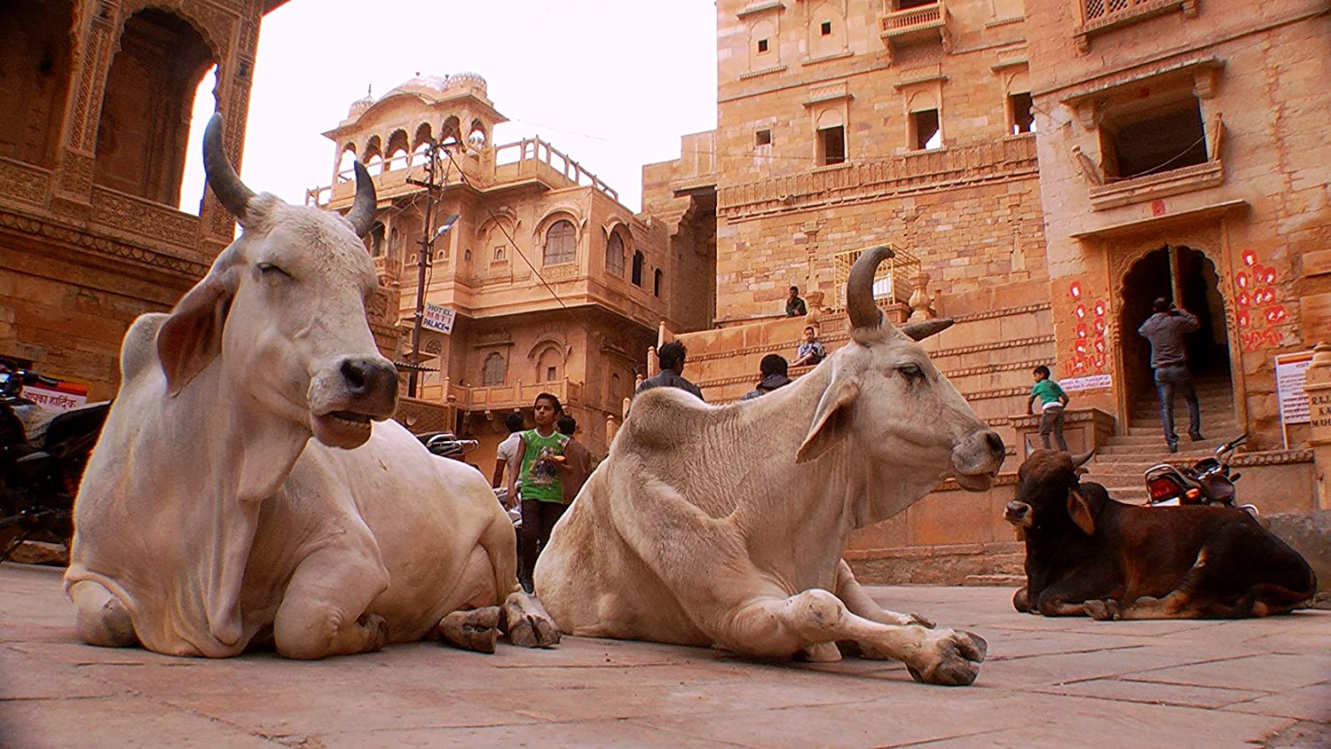 BUSCH, SIMON - FASCINATING INDIA