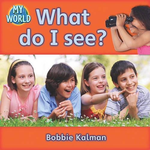 What do I see?