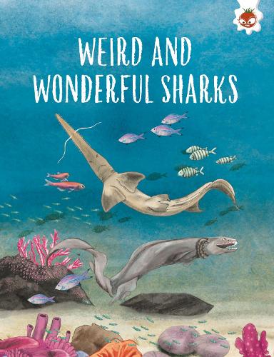 Weird and Wonderful Sharks (Shark Safari