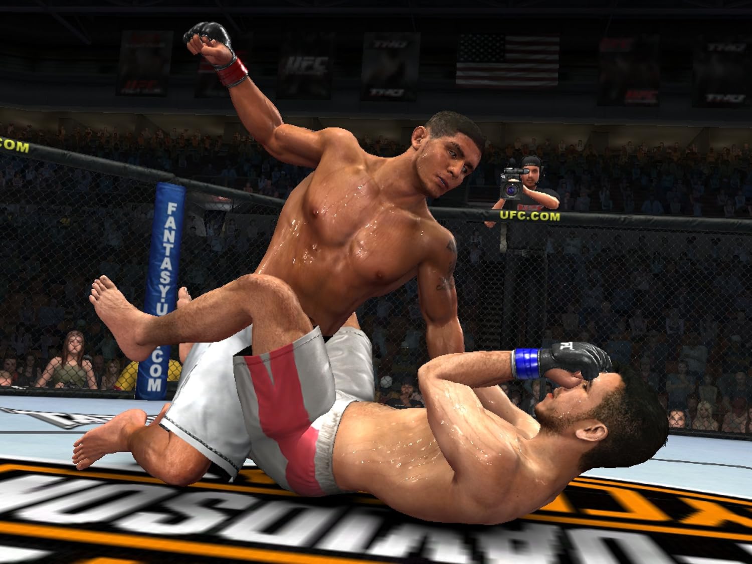 UFC 2009 PLATINUM - PS3