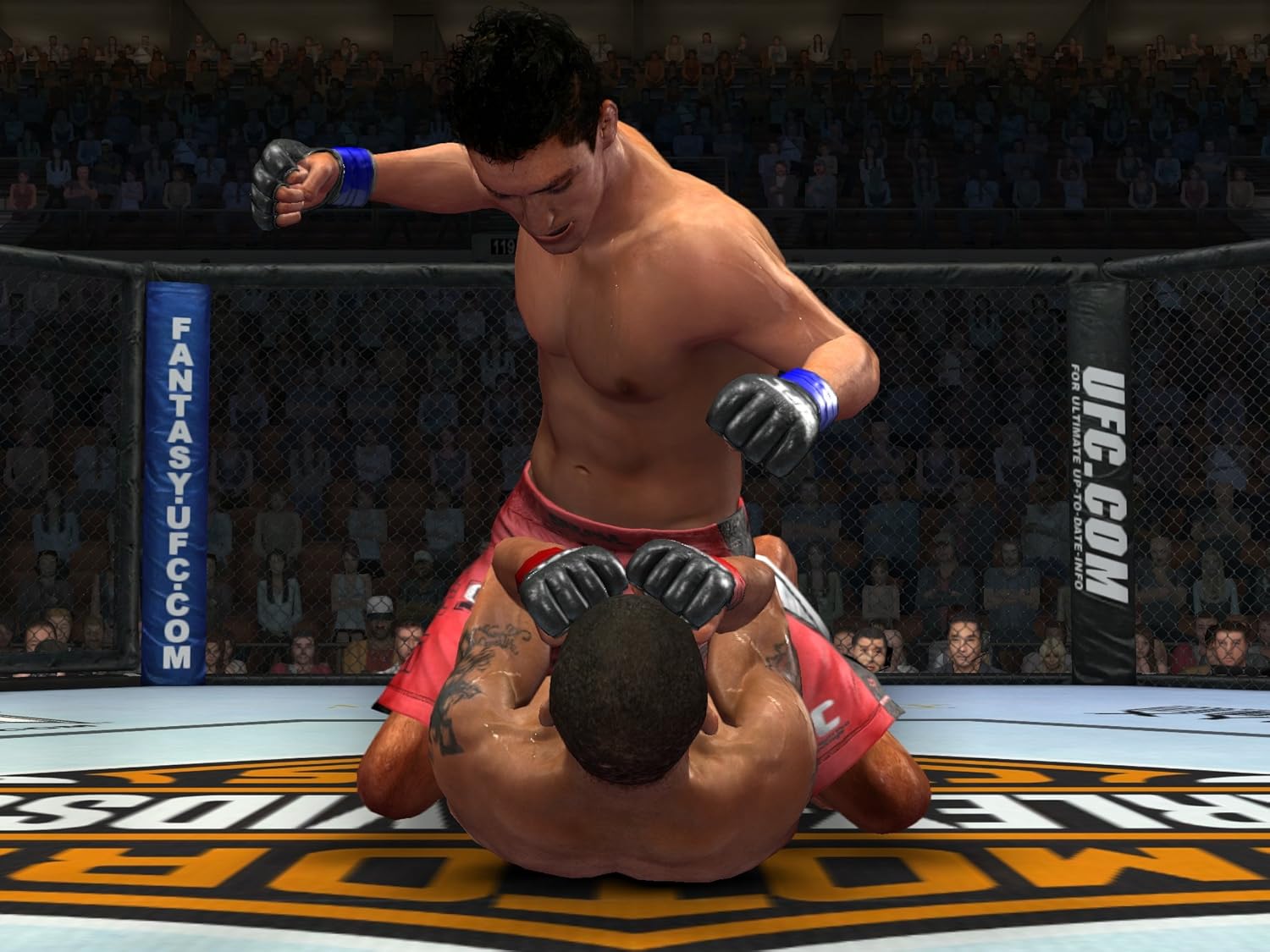 UFC 2009 PLATINUM - PS3